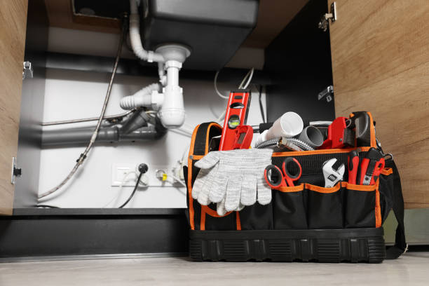 Best Plumbing Services Near Me  in Bensenvle, IL