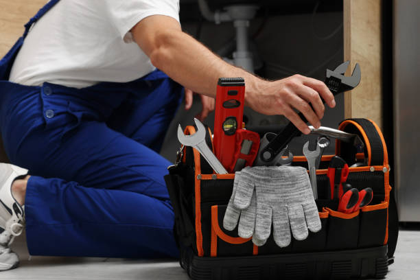 Best Commercial Plumbing Services  in Bensenvle, IL