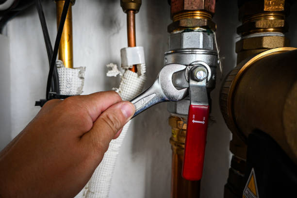 Best Plumbing Inspection Services  in Bensenvle, IL